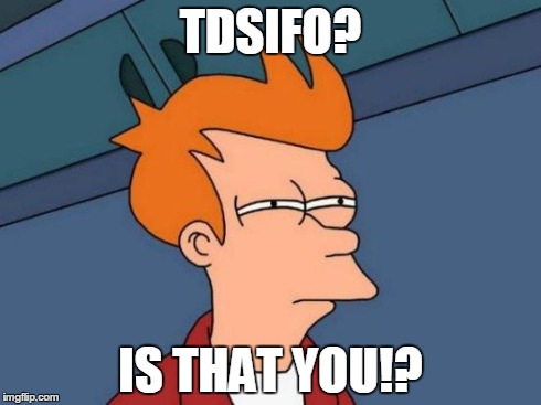 Futurama Fry Meme | TDSIFO? IS THAT YOU!? | image tagged in memes,futurama fry | made w/ Imgflip meme maker