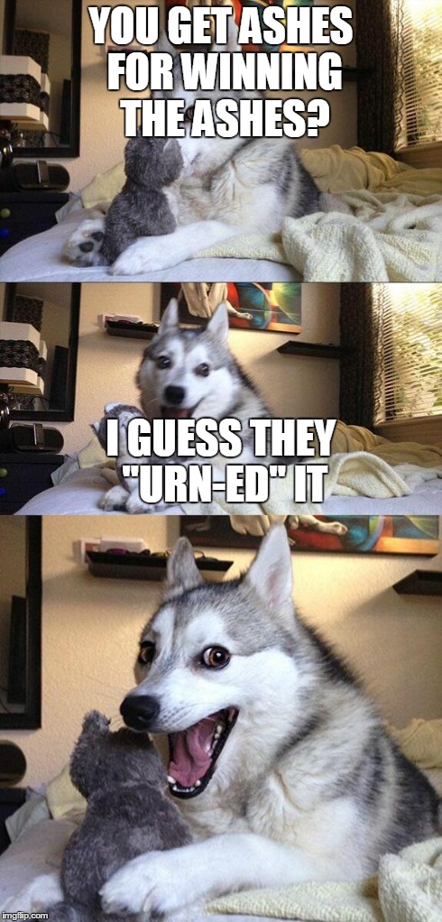 Bad Pun Dog Meme | YOU GET ASHES FOR WINNING THE ASHES? I GUESS THEY "URN-ED" IT | image tagged in memes,bad pun dog | made w/ Imgflip meme maker
