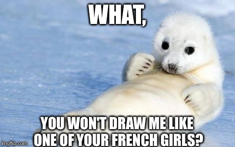 WHAT, YOU WON'T DRAW ME LIKE ONE OF YOUR FRENCH GIRLS? | image tagged in you won't | made w/ Imgflip meme maker