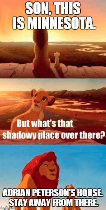 Simba Shadowy Place | SON, THIS IS MINNESOTA. ADRIAN PETERSON'S HOUSE. STAY AWAY FROM THERE. | image tagged in memes,simba shadowy place,funny,news,sports | made w/ Imgflip meme maker