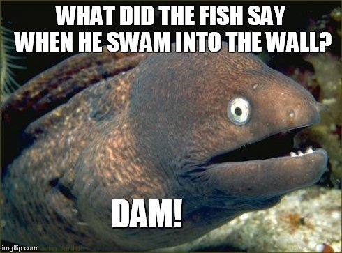 Bad Joke Eel | WHAT DID THE FISH SAY WHEN HE SWAM INTO THE WALL? DAM! | image tagged in memes,bad joke eel | made w/ Imgflip meme maker