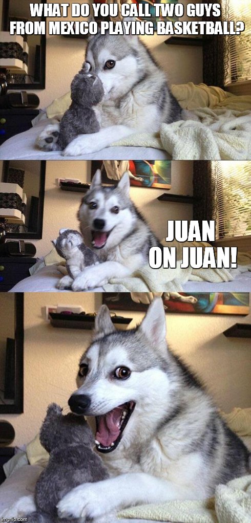 Bad Pun Dog | WHAT DO YOU CALL TWO GUYS FROM MEXICO PLAYING BASKETBALL? JUAN ON JUAN! | image tagged in memes,bad pun dog | made w/ Imgflip meme maker