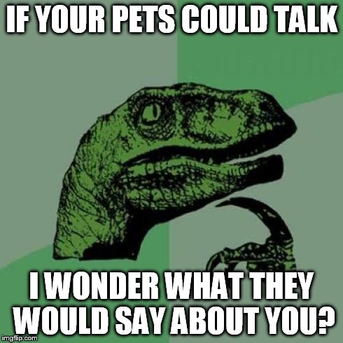 Philosoraptor | IF YOUR PETS COULD TALK I WONDER WHAT THEY WOULD SAY ABOUT YOU? | image tagged in memes,philosoraptor | made w/ Imgflip meme maker