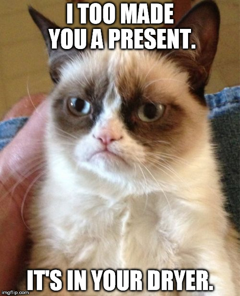 Grumpy Cat Meme | I TOO MADE YOU A PRESENT. IT'S IN YOUR DRYER. | image tagged in memes,grumpy cat | made w/ Imgflip meme maker