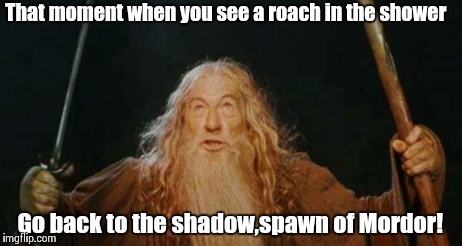 Go back to the shadow,Roach of Mordor!! | That moment when you see a roach in the shower Go back to the shadow,spawn of Mordor! | image tagged in gandalf | made w/ Imgflip meme maker