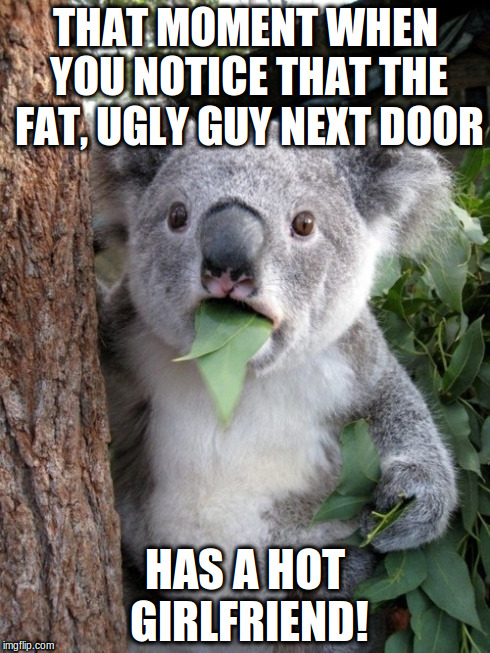 Surprised Koala | THAT MOMENT WHEN YOU NOTICE THAT THE FAT, UGLY GUY NEXT DOOR HAS A HOT GIRLFRIEND! | image tagged in memes,surprised coala | made w/ Imgflip meme maker