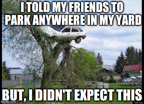 Secure Parking Meme | I TOLD MY FRIENDS TO PARK ANYWHERE IN MY YARD BUT, I DIDN'T EXPECT THIS | image tagged in memes,secure parking | made w/ Imgflip meme maker
