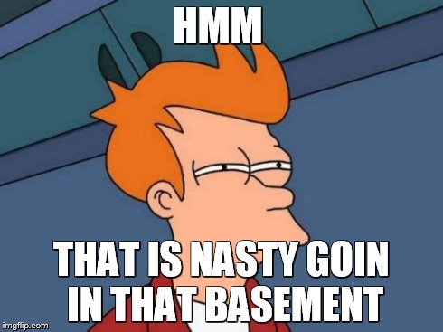 Futurama Fry | HMM THAT IS NASTY GOIN IN THAT BASEMENT | image tagged in memes,futurama fry | made w/ Imgflip meme maker