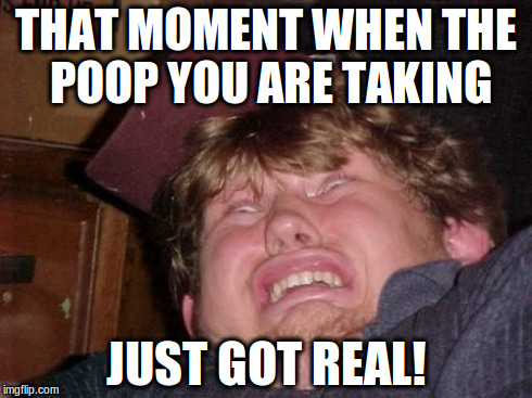 WTF | THAT MOMENT WHEN THE POOP YOU ARE TAKING JUST GOT REAL! | image tagged in memes,wtf | made w/ Imgflip meme maker