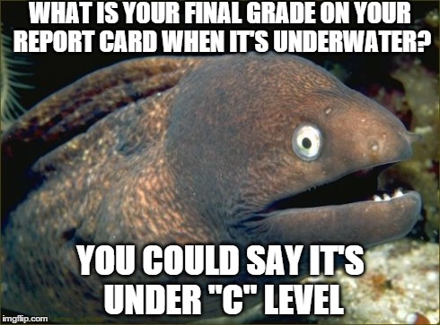 Bad Joke Eel | WHAT IS YOUR FINAL GRADE ON YOUR REPORT CARD WHEN IT'S UNDERWATER? YOU COULD SAY IT'S UNDER "C" LEVEL | image tagged in memes,bad joke eel | made w/ Imgflip meme maker
