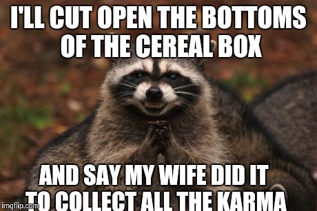 evil genius racoon | I'LL CUT OPEN THE BOTTOMS OF THE CEREAL BOX AND SAY MY WIFE DID IT TO COLLECT ALL THE KARMA | image tagged in evil genius racoon,AdviceAnimals | made w/ Imgflip meme maker