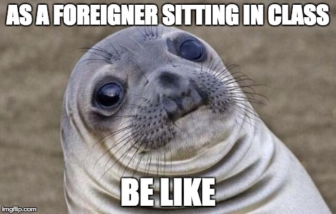 Awkward Moment Sealion | AS A FOREIGNER SITTING IN CLASS BE LIKE | image tagged in memes,awkward moment sealion | made w/ Imgflip meme maker