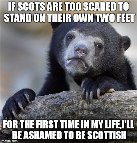 Confession Bear | IF SCOTS ARE TOO SCARED TO STAND ON THEIR OWN TWO FEET FOR THE FIRST TIME IN MY LIFE,I'LL BE ASHAMED TO BE SCOTTISH | image tagged in memes,confession bear | made w/ Imgflip meme maker