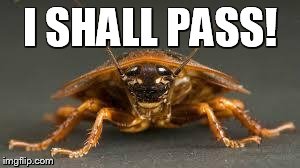 Roach | I SHALL PASS! | image tagged in roach | made w/ Imgflip meme maker