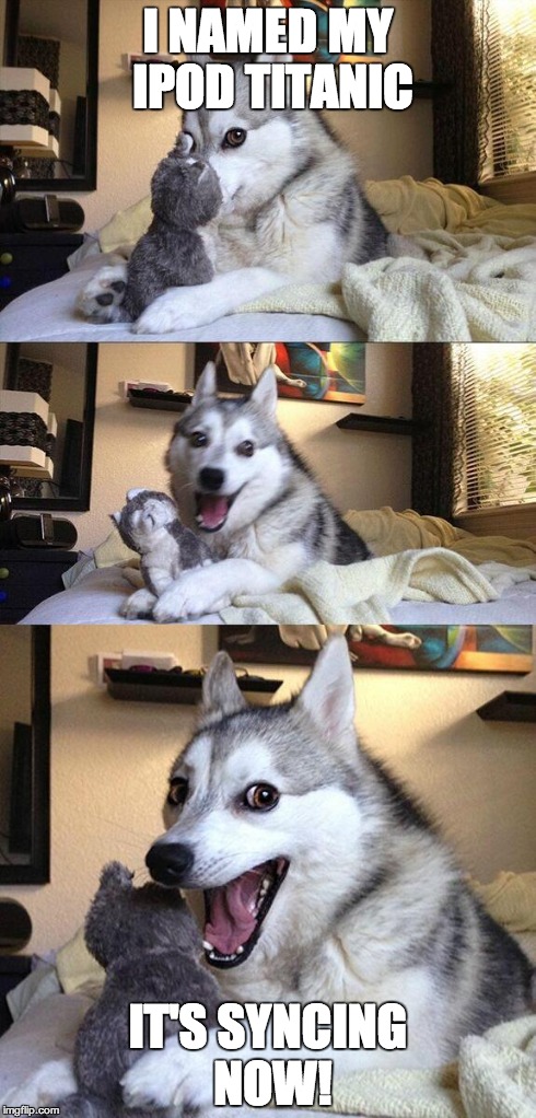 Bad Pun Dog | I NAMED MY IPOD TITANIC IT'S SYNCING NOW! | image tagged in memes,bad pun dog | made w/ Imgflip meme maker
