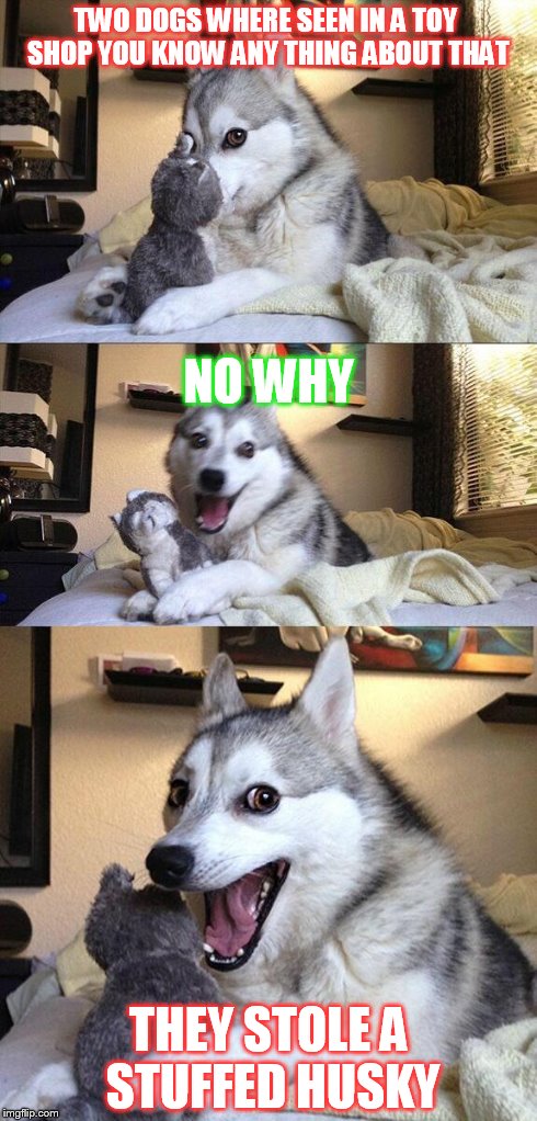 Bad Pun Dog Meme | TWO DOGS WHERE SEEN IN A TOY SHOP YOU KNOW ANY THING ABOUT THAT THEY STOLE A STUFFED HUSKY NO WHY | image tagged in memes,bad pun dog | made w/ Imgflip meme maker