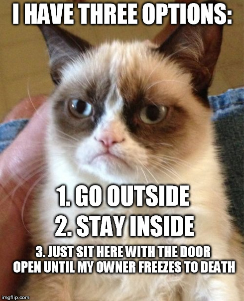 Cat Logic | I HAVE THREE OPTIONS: 1. GO OUTSIDE 3. JUST SIT HERE WITH THE DOOR OPEN UNTIL MY OWNER FREEZES TO DEATH 2. STAY INSIDE | image tagged in memes,grumpy cat | made w/ Imgflip meme maker