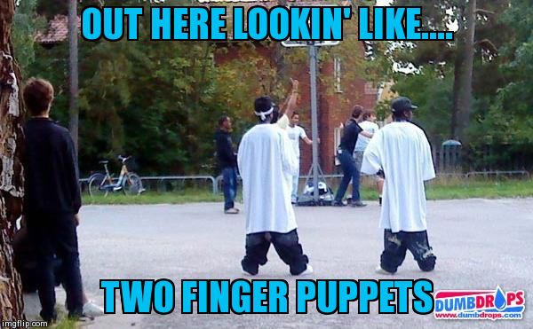 Finger Puppets | OUT HERE LOOKIN' LIKE.... TWO FINGER PUPPETS | image tagged in memes,funny,swag | made w/ Imgflip meme maker