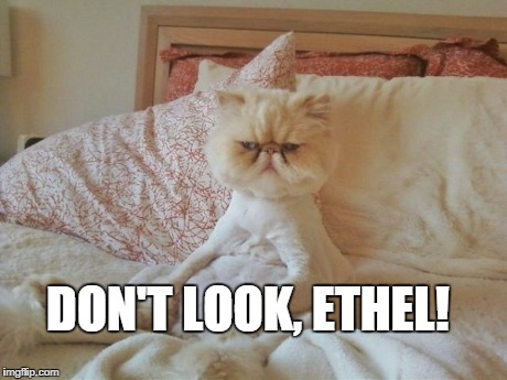 DON'T LOOK, ETHEL! | made w/ Imgflip meme maker