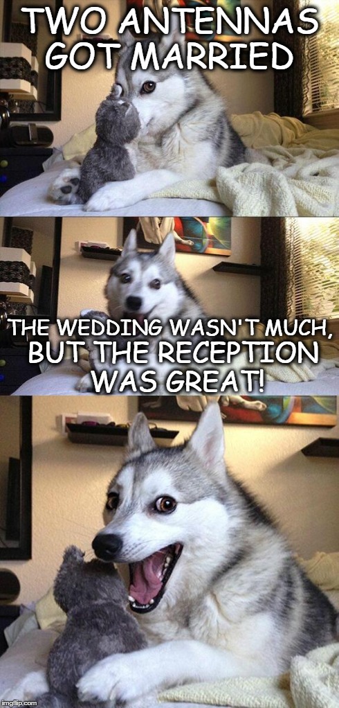 Bad Pun Dog | TWO ANTENNAS GOT MARRIED THE WEDDING WASN'T MUCH, BUT THE RECEPTION WAS GREAT! | image tagged in memes,bad pun dog | made w/ Imgflip meme maker