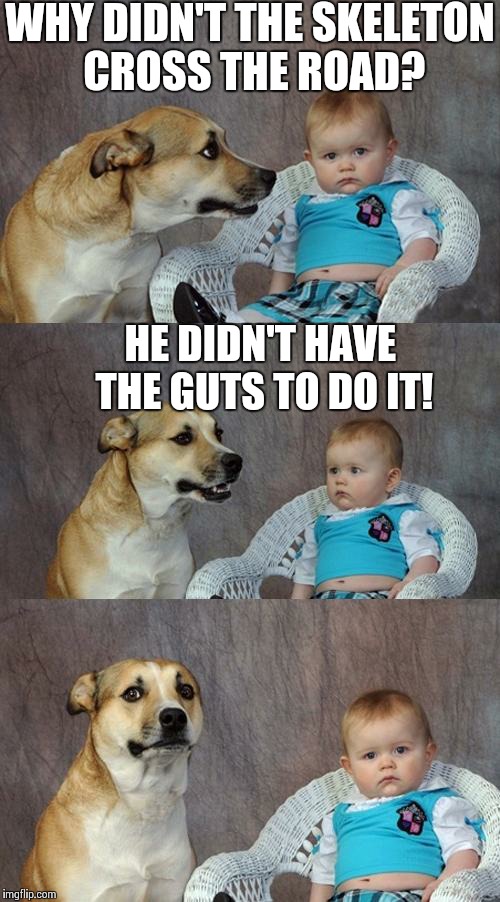 Dad Joke Dog Meme | WHY DIDN'T THE SKELETON CROSS THE ROAD? HE DIDN'T HAVE THE GUTS TO DO IT! | image tagged in memes,dad joke dog | made w/ Imgflip meme maker