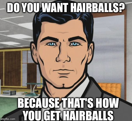 Archer Meme | DO YOU WANT HAIRBALLS? BECAUSE THAT'S HOW YOU GET HAIRBALLS | image tagged in memes,archer,AdviceAnimals | made w/ Imgflip meme maker
