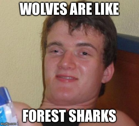 10 Guy | WOLVES ARE LIKE FOREST SHARKS | image tagged in memes,10 guy,AdviceAnimals | made w/ Imgflip meme maker