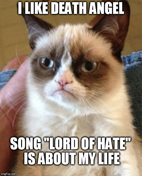 Grumpy Cat | I LIKE DEATH ANGEL SONG "LORD OF HATE" IS ABOUT MY LIFE | image tagged in memes,grumpy cat | made w/ Imgflip meme maker