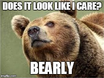 Smug Bear Meme | DOES IT LOOK LIKE I CARE? BEARLY | image tagged in memes,smug bear | made w/ Imgflip meme maker