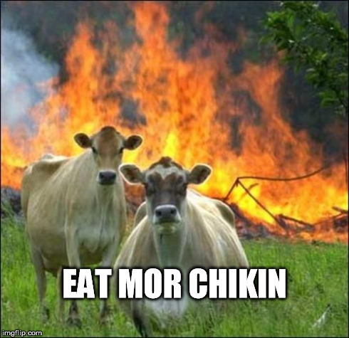 They mean it. | EAT MOR CHIKIN | image tagged in memes,evil cows | made w/ Imgflip meme maker