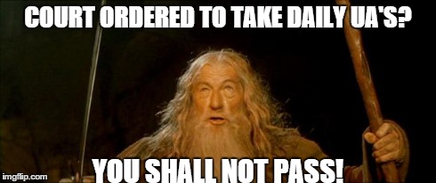 gandalf you shall not pass | COURT ORDERED TO TAKE DAILY UA'S? YOU SHALL NOT PASS! | image tagged in gandalf you shall not pass | made w/ Imgflip meme maker