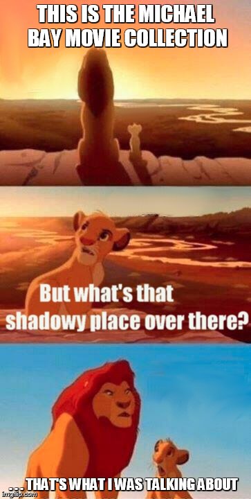 Simba Shadowy Place | THIS IS THE MICHAEL BAY MOVIE COLLECTION . . . THAT'S WHAT I WAS TALKING ABOUT | image tagged in memes,simba shadowy place | made w/ Imgflip meme maker