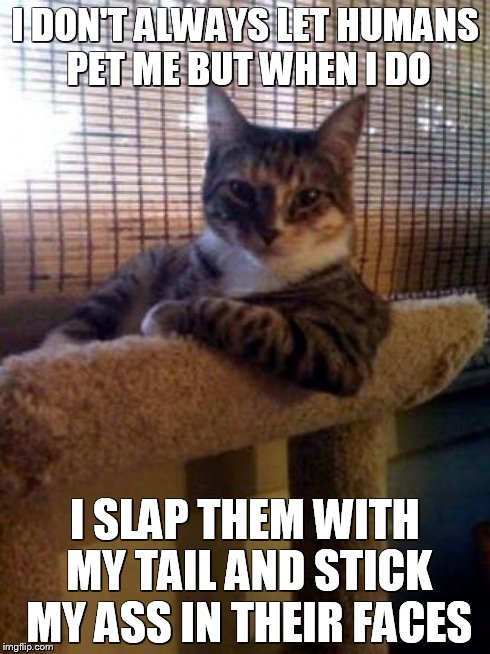 The Most Interesting Cat In The World | I DON'T ALWAYS LET HUMANS PET ME BUT WHEN I DO I SLAP THEM WITH MY TAIL AND STICK MY ASS IN THEIR FACES | image tagged in memes,the most interesting cat in the world | made w/ Imgflip meme maker
