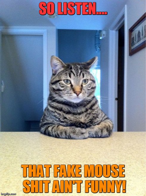 Take A Seat Cat | SO LISTEN.... THAT FAKE MOUSE SHIT AIN'T FUNNY! | image tagged in memes,take a seat cat | made w/ Imgflip meme maker