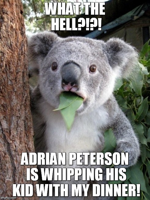 Surprised Koala | WHAT THE HELL?!?! ADRIAN PETERSON IS WHIPPING HIS KID WITH MY DINNER! | image tagged in memes,surprised coala | made w/ Imgflip meme maker