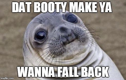 Awkward Moment Sealion | DAT BOOTY MAKE YA WANNA FALL BACK | image tagged in memes,awkward moment sealion | made w/ Imgflip meme maker