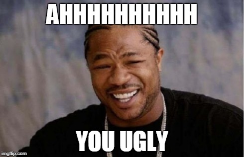 Yo Dawg Heard You | AHHHHHHHHHH YOU UGLY | image tagged in memes,yo dawg heard you | made w/ Imgflip meme maker