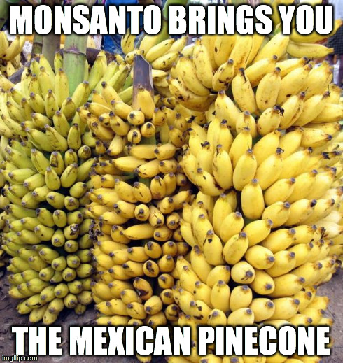 Bananas | MONSANTO BRINGS YOU THE MEXICAN PINECONE | image tagged in bananas | made w/ Imgflip meme maker