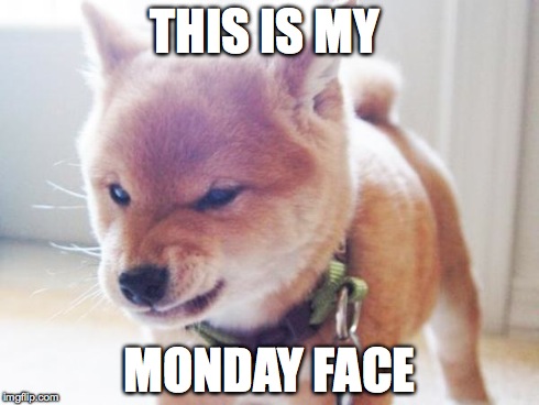 monday face | THIS IS MY MONDAY FACE | image tagged in monday face | made w/ Imgflip meme maker