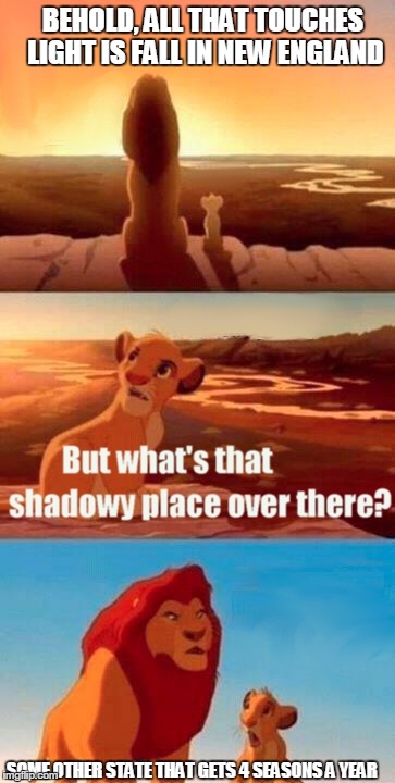 Simba Shadowy Place | BEHOLD, ALL THAT TOUCHES LIGHT IS FALL IN NEW ENGLAND SOME OTHER STATE THAT GETS 4 SEASONS A YEAR | image tagged in memes,simba shadowy place | made w/ Imgflip meme maker
