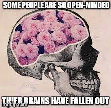 whatever happened to common sense | SOME PEOPLE ARE SO OPEN-MINDED THIER BRAINS HAVE FALLEN OUT | image tagged in brain | made w/ Imgflip meme maker
