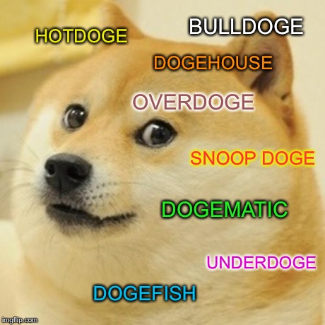 Doge | HOTDOGE SNOOP DOGE BULLDOGE DOGEFISH UNDERDOGE DOGEMATIC DOGEHOUSE OVERDOGE | image tagged in memes,doge | made w/ Imgflip meme maker