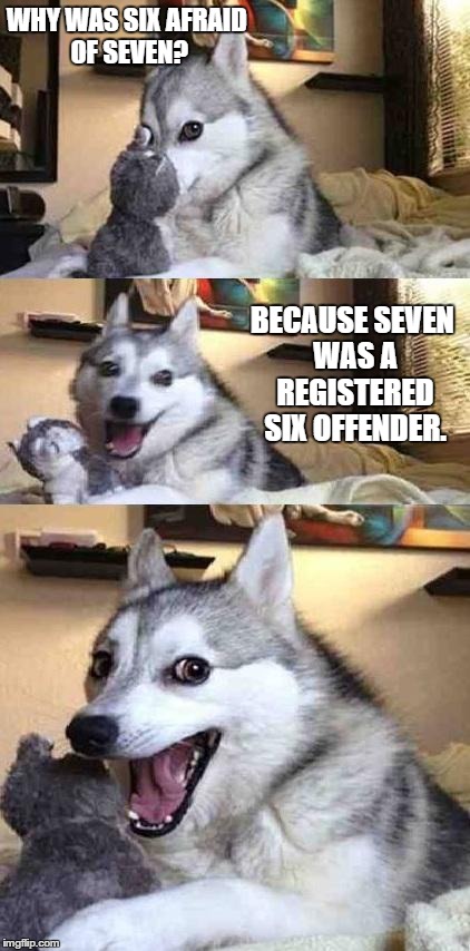 Six Offender | WHY WAS SIX AFRAID OF SEVEN? BECAUSE SEVEN WAS A REGISTERED SIX OFFENDER. | image tagged in dog joke,bad puns,play on words | made w/ Imgflip meme maker