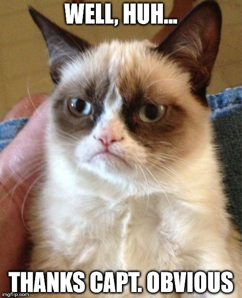 Grumpy Cat Meme | WELL, HUH... THANKS CAPT. OBVIOUS | image tagged in memes,grumpy cat | made w/ Imgflip meme maker