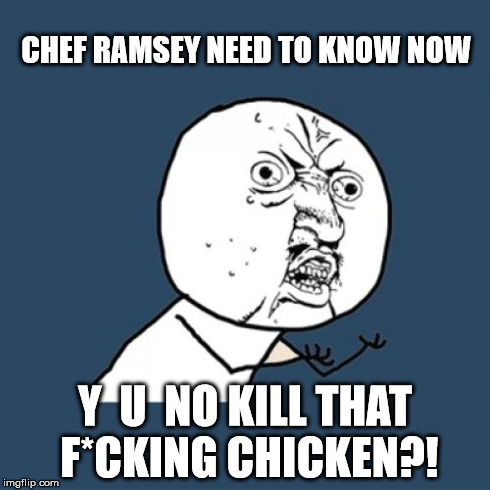 CHEF RAMSEY NEED TO KNOW NOW Y  U  NO KILL THAT F*CKING CHICKEN?! | image tagged in memes,y u no | made w/ Imgflip meme maker