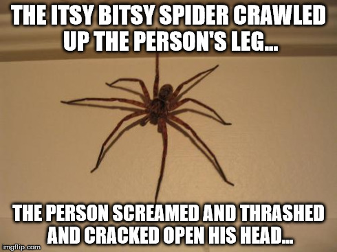 Scumbag Spider | THE ITSY BITSY SPIDER CRAWLED UP THE PERSON'S LEG... THE PERSON SCREAMED AND THRASHED AND CRACKED OPEN HIS HEAD... | image tagged in scumbag spider | made w/ Imgflip meme maker