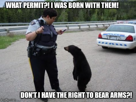 Libertarian Bear. | WHAT PERMIT?! I WAS BORN WITH THEM! DON'T I HAVE THE RIGHT TO BEAR ARMS?! | image tagged in canadian cop,guns,bears,cops,weapons | made w/ Imgflip meme maker