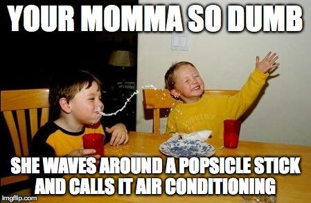 Yo Mamas So Fat Meme | YOUR MOMMA SO DUMB SHE WAVES AROUND A POPSICLE STICK AND CALLS IT AIR CONDITIONING | image tagged in memes,yo mamas so fat | made w/ Imgflip meme maker