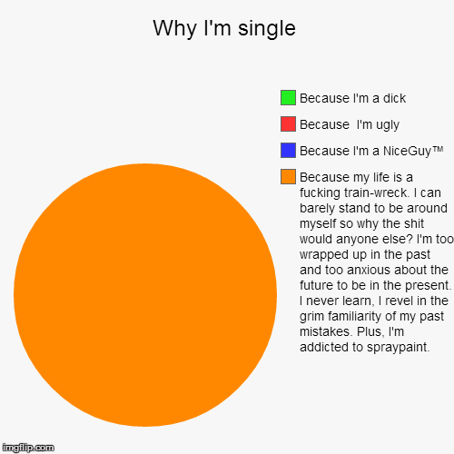 Why I'm single | Because my life is a f**king train-wreck. I can barely stand to be around myself so why the shit would anyone else? I'm too | image tagged in funny,pie charts | made w/ Imgflip chart maker