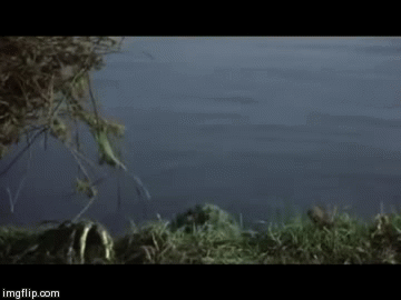 They all float | image tagged in gifs,horror,it | made w/ Imgflip video-to-gif maker